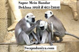 Sapne Mein Bandar Dekhna सपने में बंदर देखना