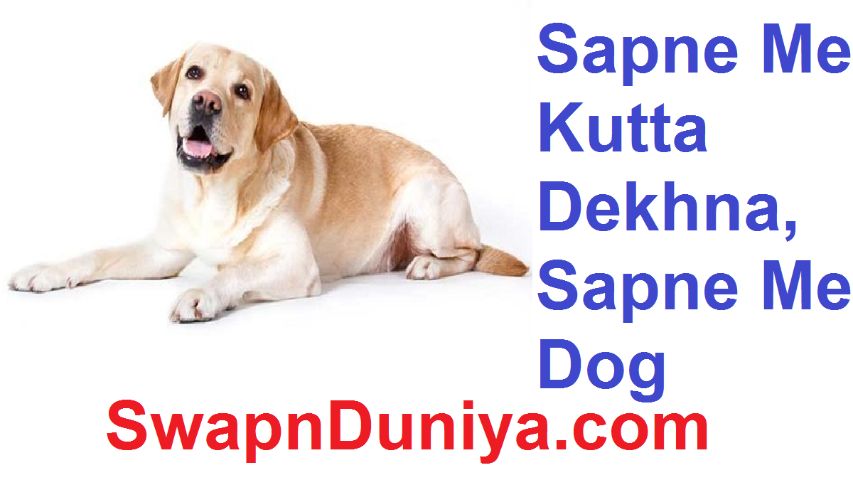 Sapne Me Kutta Dekhna