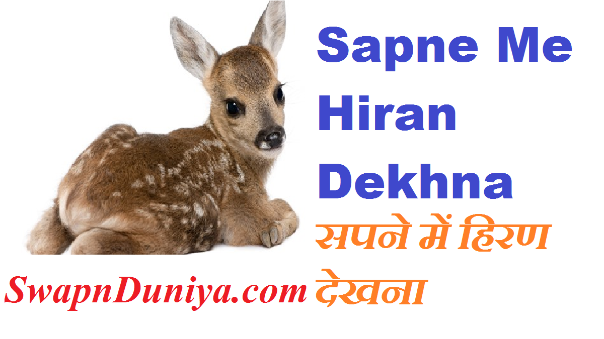 Sapne Me Hiran Dekhna सपने में हिरण देखना