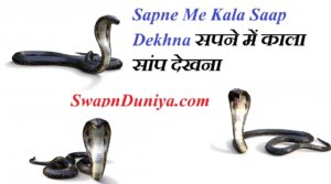 Sapne Me Kala Saap Dekhna सपने में काला सांप देखना