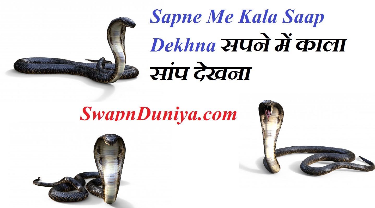 Sapne Me Kala Saap Dekhna सपने में काला सांप देखना