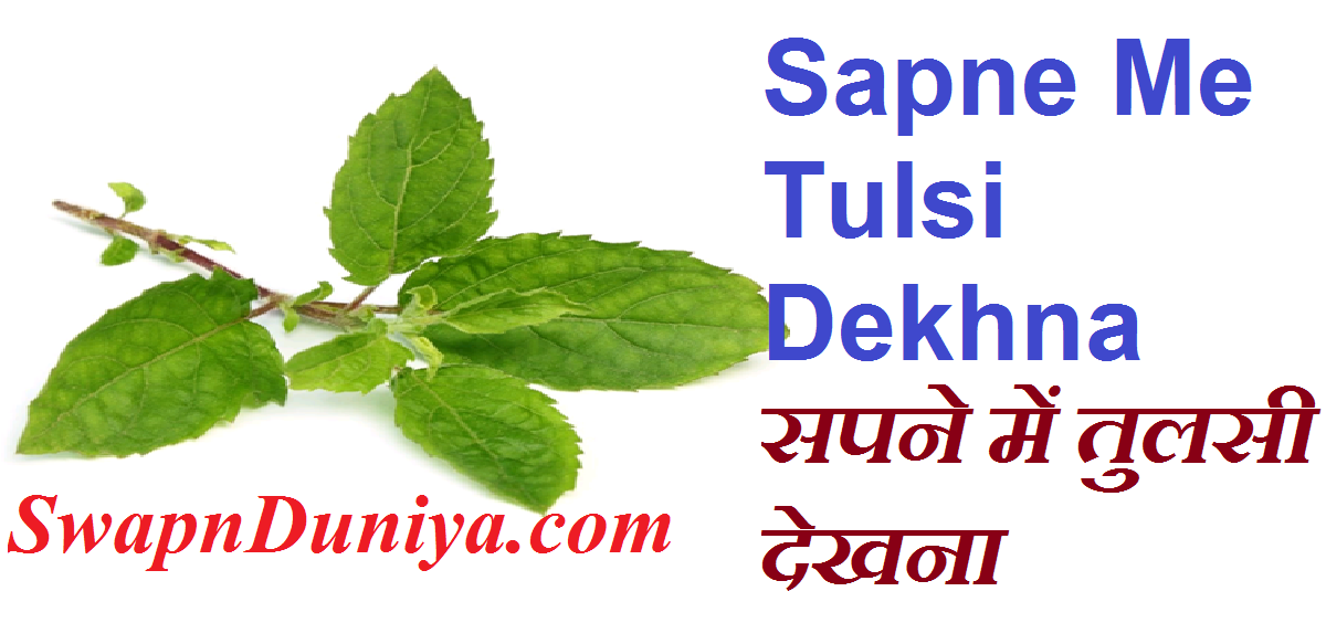 Sapne Me Tulsi Dekhna सपने में तुलसी देखना