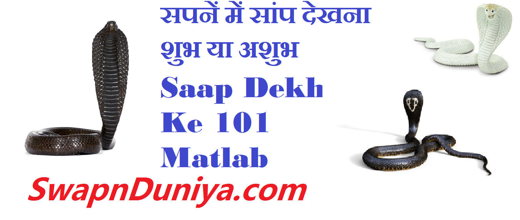 सपनें में सांप देखना शुभ या अशुभ Saap Dekhne Ke 101 Matlab