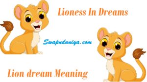 Lioness In Dream, Lioness Dream Interpretation, Lioness Spirit Animal