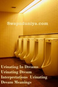 Urinating In Dreams Urinating Dream Interpretations Urinating Dream Meanings