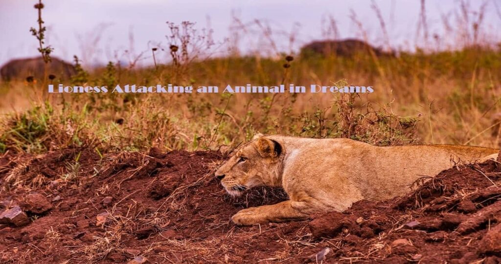 Lioness Attacking an Animal in Dreams