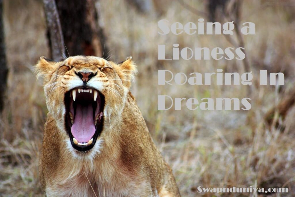 Seeing a Lioness Roaring In Dreams