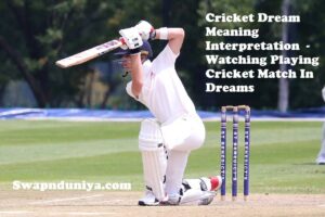 Cricket Dream Meaning Interpretation Watching Playing Cricket Match In Dreams