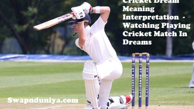Cricket Dream Meaning Interpretation Watching Playing Cricket Match cricket-dream-meaning-interpretation-watching-playing-cricket-match