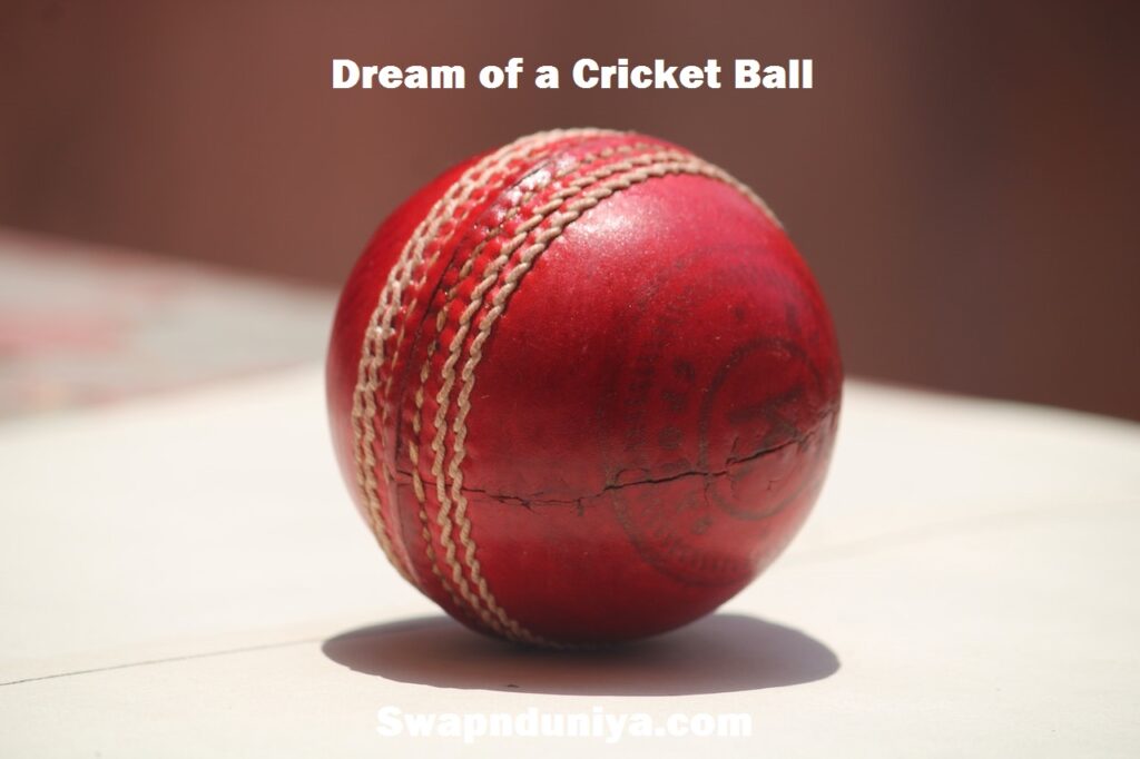 Dream of a Cricket Ball