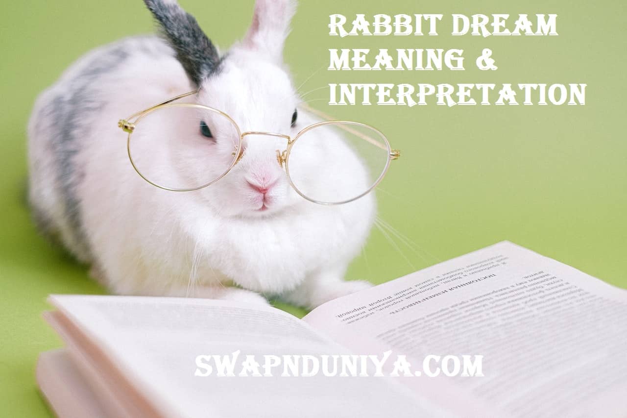 Rabbit Dream Meaning Interpretation Hare Bunny Dreams