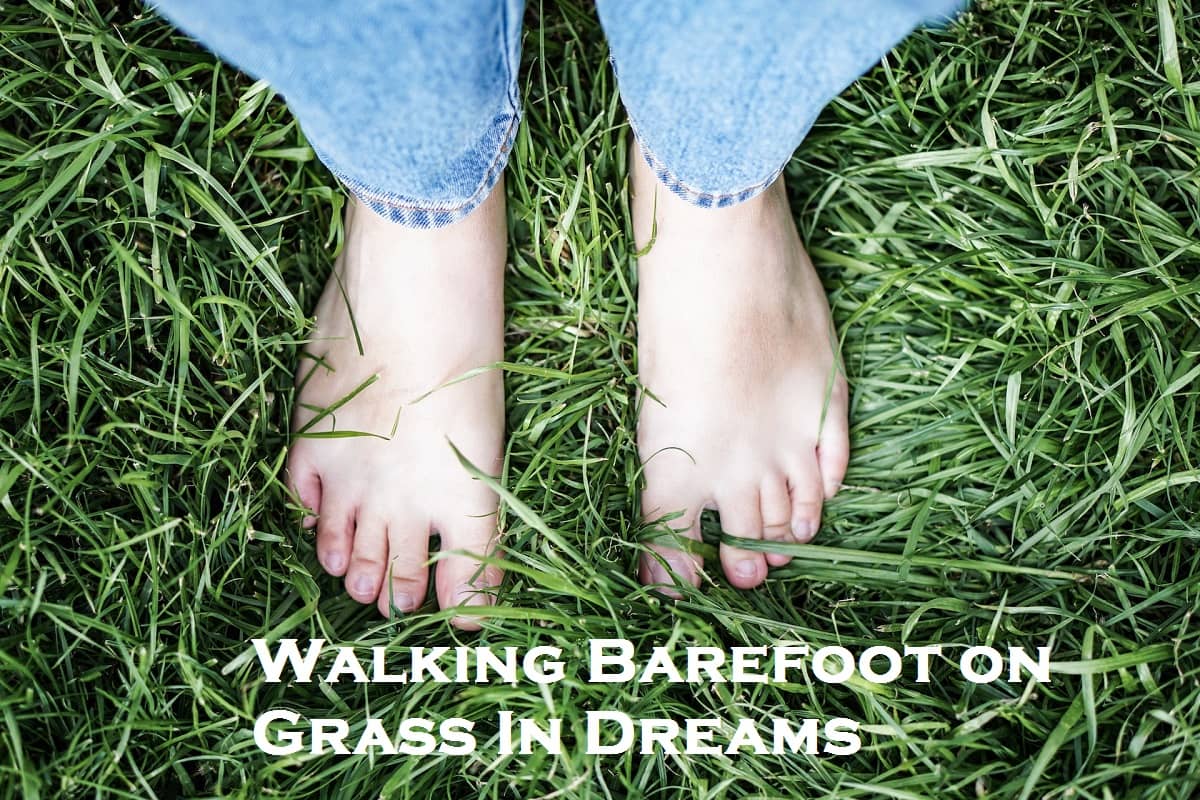 Dream Barefoot Barefoot In Dreams Barefoot Dreams Interpretations
