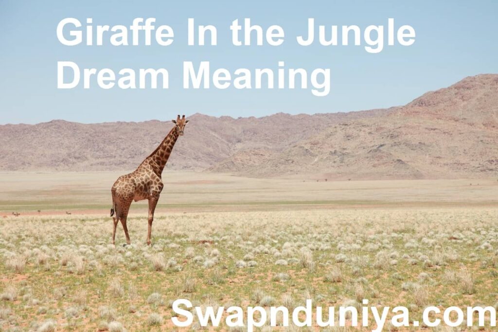 Giraffe In the Jungle Dream Meaning