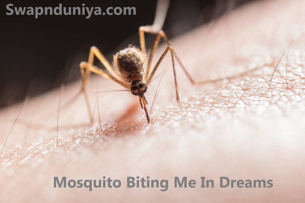 Mosquito Biting Me In Dreams