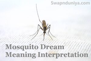 Mosquito Dream Meaning Interpretation