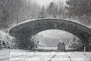 Snowstorm Dream Meaning Interpretation Blizzard In Dream