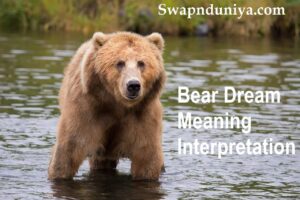 Bear Dream Meaning Interpretation