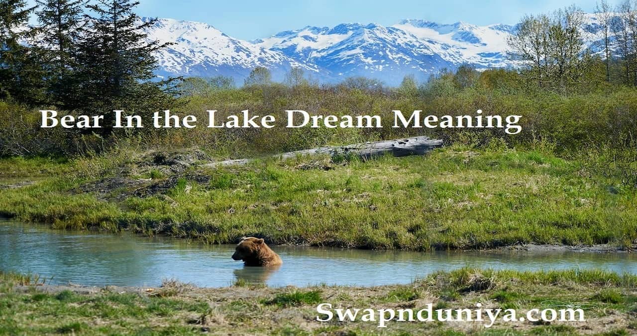 Bear Dream Meaning Interpretation