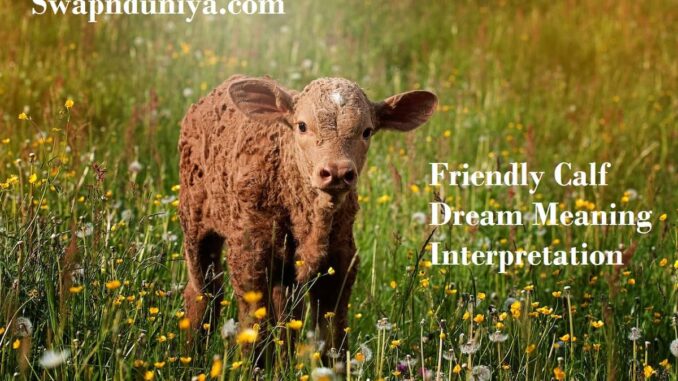 friendly-calf-dream-meaning-interpretation