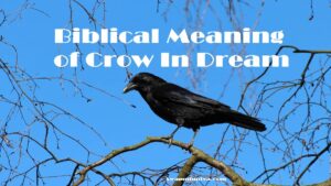 Biblical Meaning of Crow In Dream