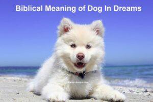 Biblical Meaning of Dog In Dreams