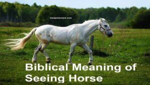 Biblical Meaning of Seeing Horse