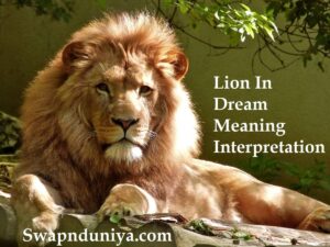 Lion In Dream Meaning Interpretation