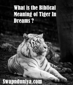 What is the Biblical Meaning of Tiger In Dreams Means