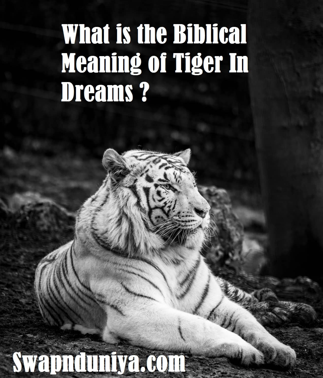 What Does The Tiger Symbolize In The Bible at Elizabeth Gunther blog