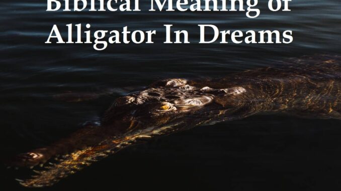 biblical-meaning-of-alligator-in-dreams