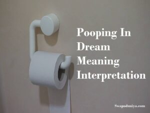 Pooping In Dream Meaning Interpretation