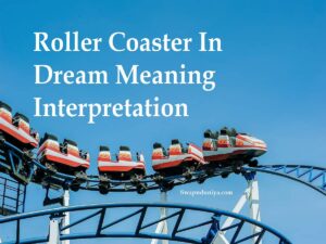 Roller Coaster In Dream Meaning Interpretation