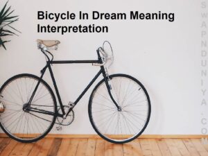 Bicycle In Dream Meaning Interpretation