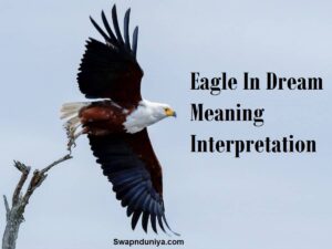 Eagle In Dream Meaning Interpretation