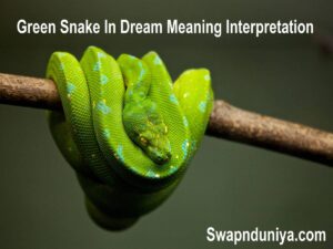 Green Snake In Dream Meaning Interpretation