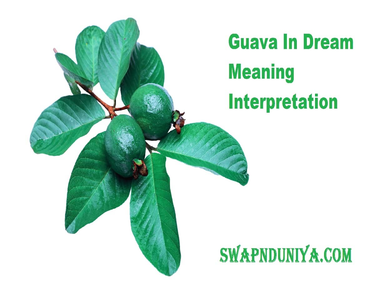 Guava In Dream Meaning Interpretation