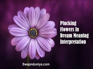 Plucking Flowers In Dream Meaning Interpretation