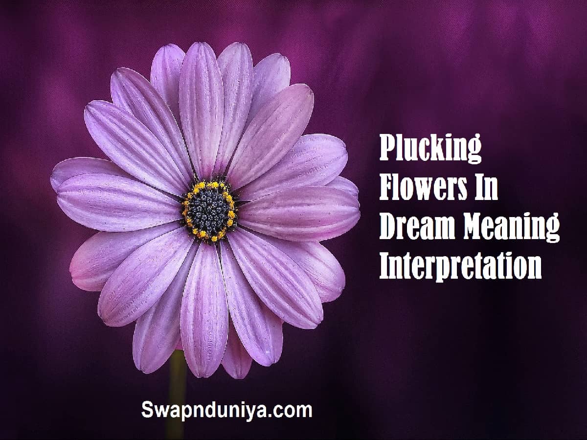 Plucking Flowers In Dream Meaning Interpretation 50 Plus Plucking