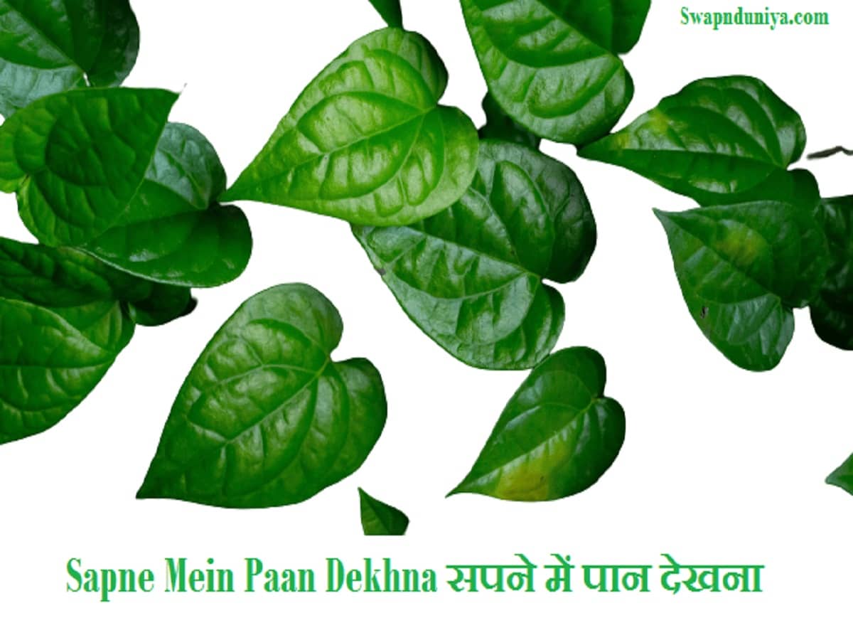 Sapne Mein Paan Dekhna सपने में पान देखना