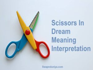 Scissors In Dream Meaning Interpretation