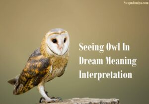 Seeing Owl In Dream Meaning Interpretation