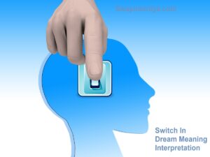 Switch In Dream Meaning Interpretation