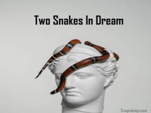 Two Snakes In Dream Meaning Interpretation