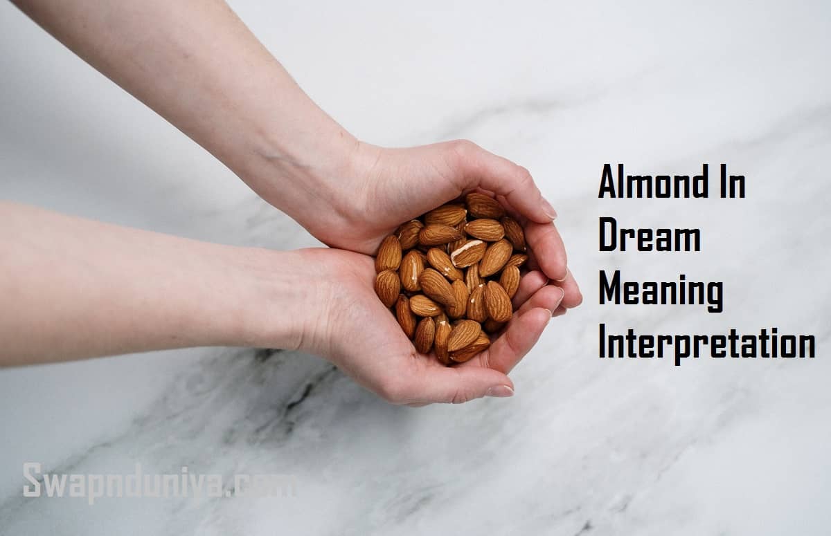 Almond In Dream Meaning Interpretation