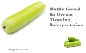 Bottle Gourd In Dream Meaning Interpretation