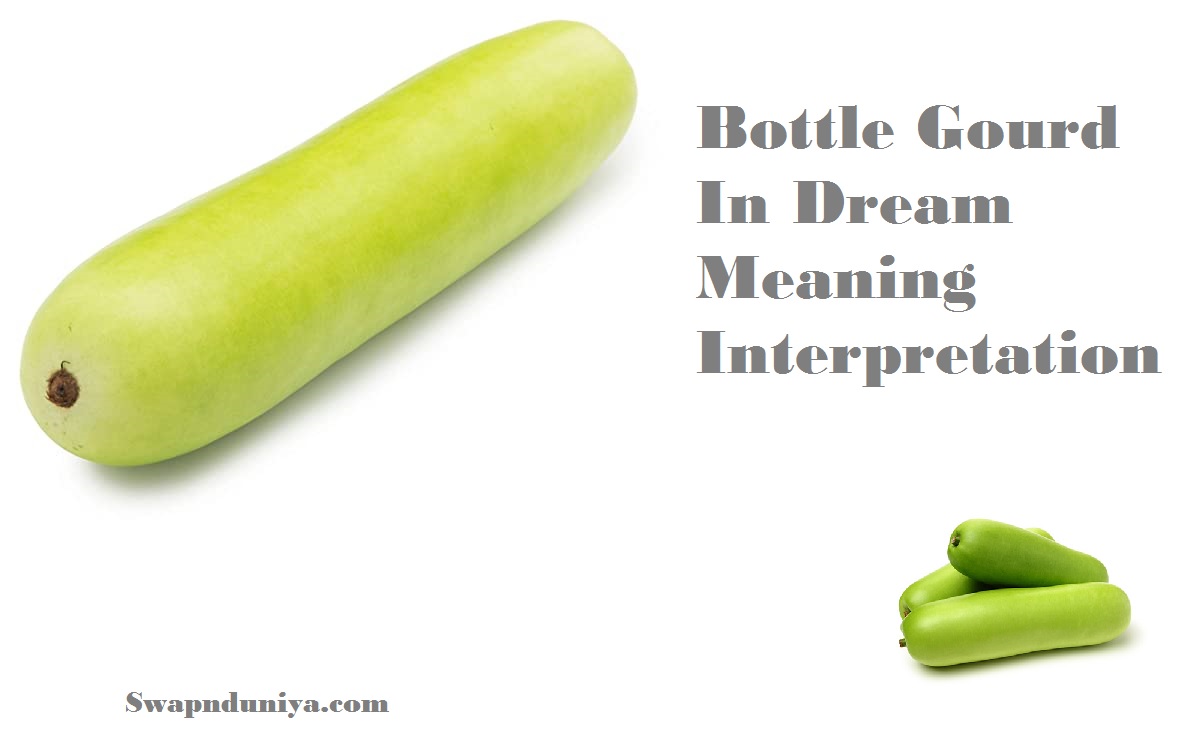 bottle-gourd-in-dream-meaning-interpretation