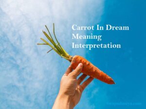 Carrot in dream