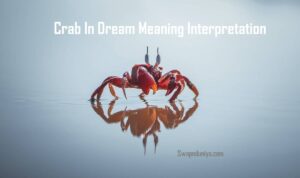 Crab In Dream Meaning Interpretation