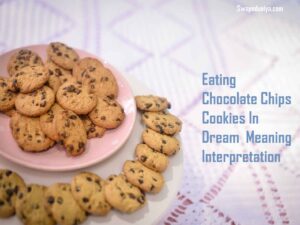 Eating Chocolate Chips Cookies In Dream Meaning Interpretation