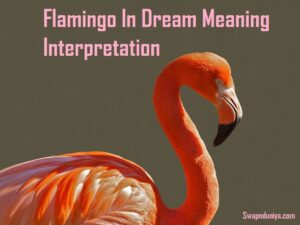 Flamingo In Dream Meaning Interpretation